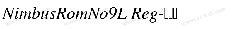 NimbusRomNo9L Reg字体转换